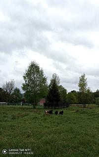 Stará Bystrica