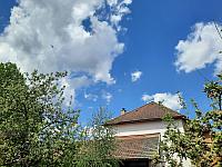 Olešná