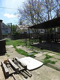 Třibřichy
