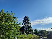 Olešná