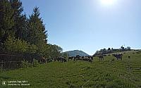 Stará Bystrica