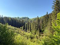 Istebna