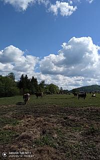 Stará Bystrica
