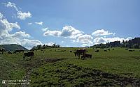 Stará Bystrica