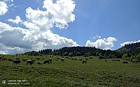 Stará Bystrica