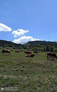 Stará Bystrica