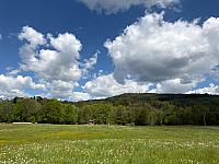 Bukovec