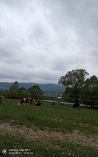 Stará Bystrica