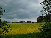 Němčice Zhoř
