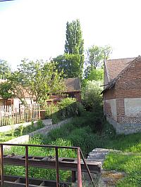 Třibřichy