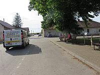 Třibřichy