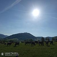 Stará Bystrica