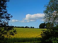 Němčice Zhoř