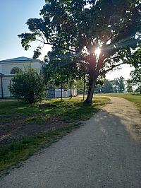 Svatý Mikuláš