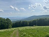 Bouřňák