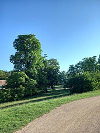 Svatý Mikuláš