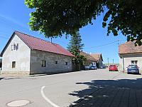 Třibřichy