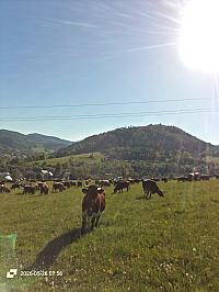 Stará Bystrica