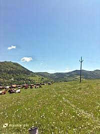 Stará Bystrica