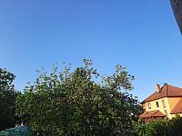 Olešná
