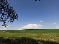 Rousínov