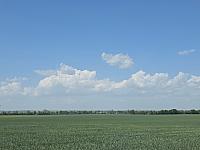 Odrovice