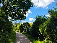Český Těšín