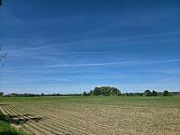 Odrovice