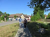 Třibřichy
