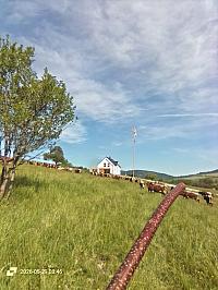 Stará Bystrica