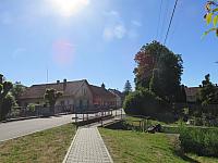 Třibřichy
