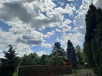 Olešná