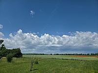 Odrovice