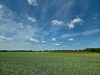 Odrovice