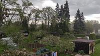 Blatná