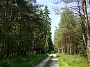 Borkovice