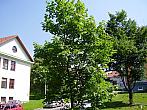 Slavičín, sídliště Vlára