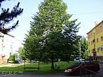Slavičín, sídliště Vlára