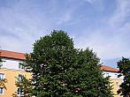 Slavičín, sídliště Vlára