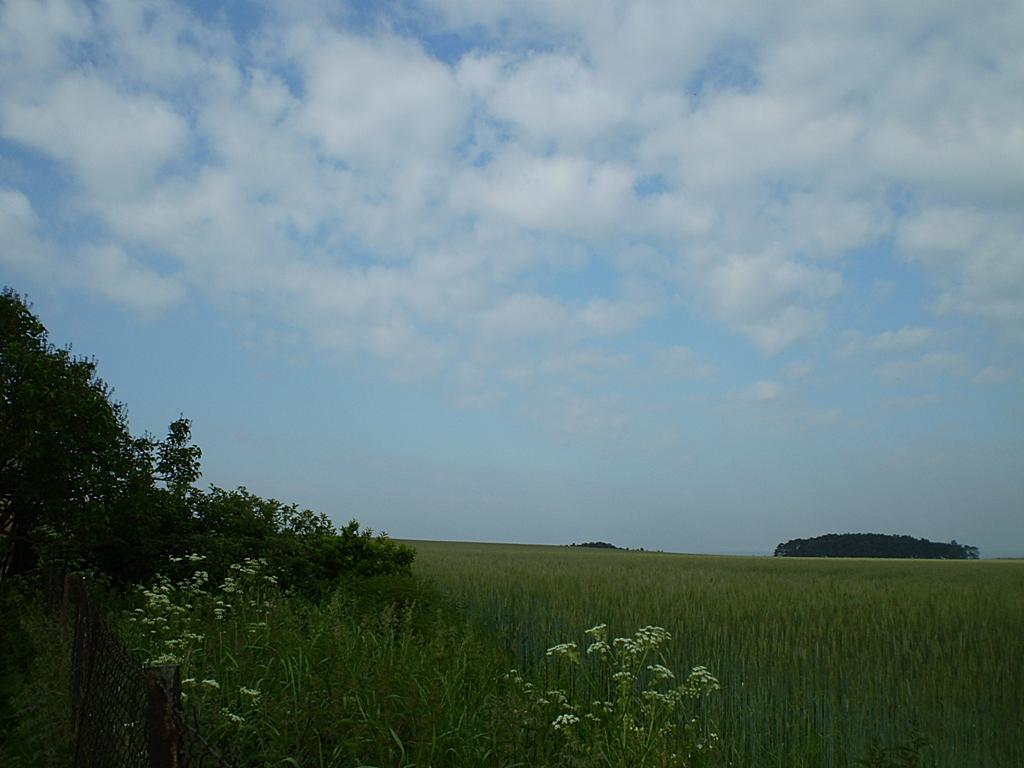 Hostákov