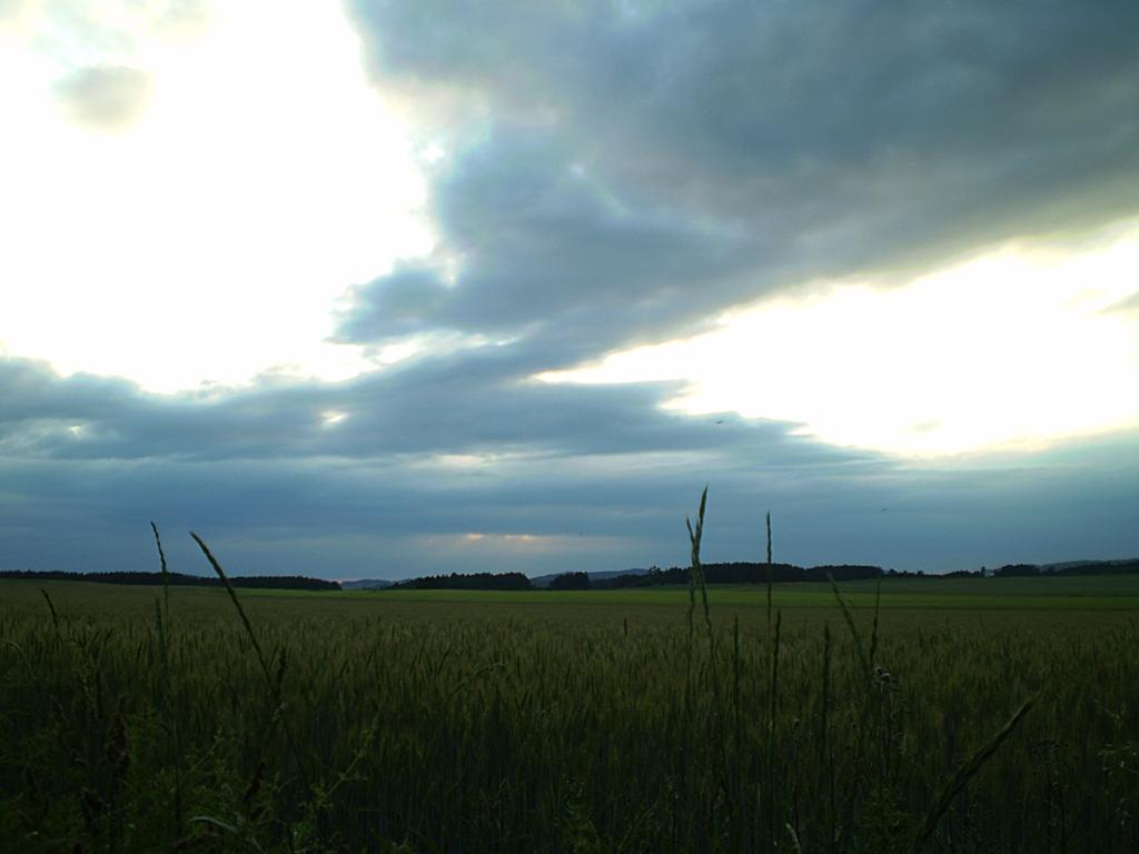Hostákov