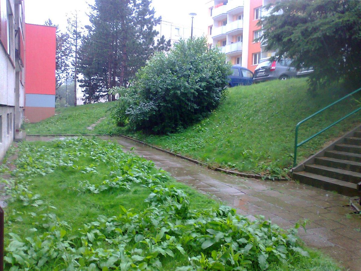 Borovina