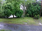 Borovina