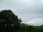 Hostákov