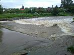 Borovina