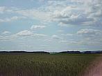 Hostákov