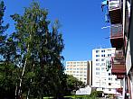 Borovina