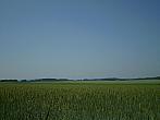 Hostákov