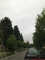 Hronov