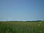 Hostákov